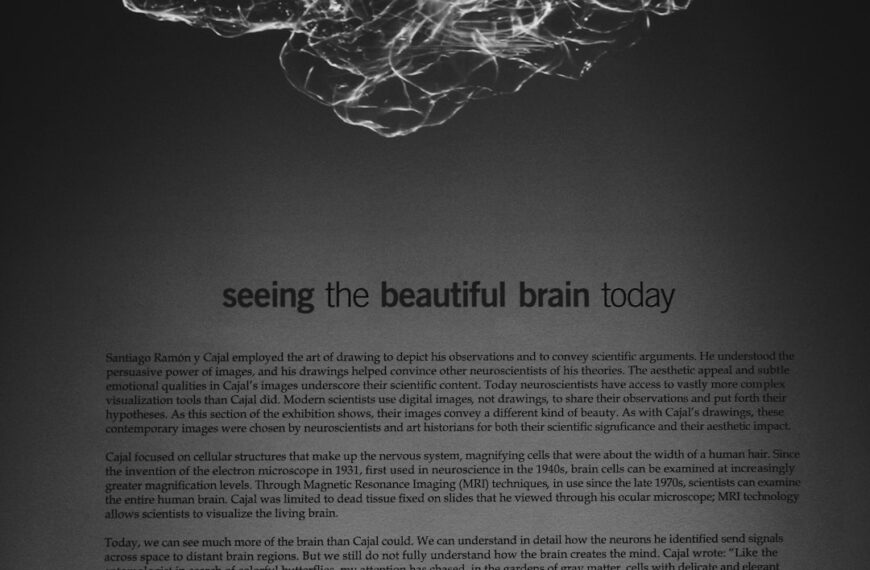 Boost Your Brainpower: Essential Tools for Peak Productivity